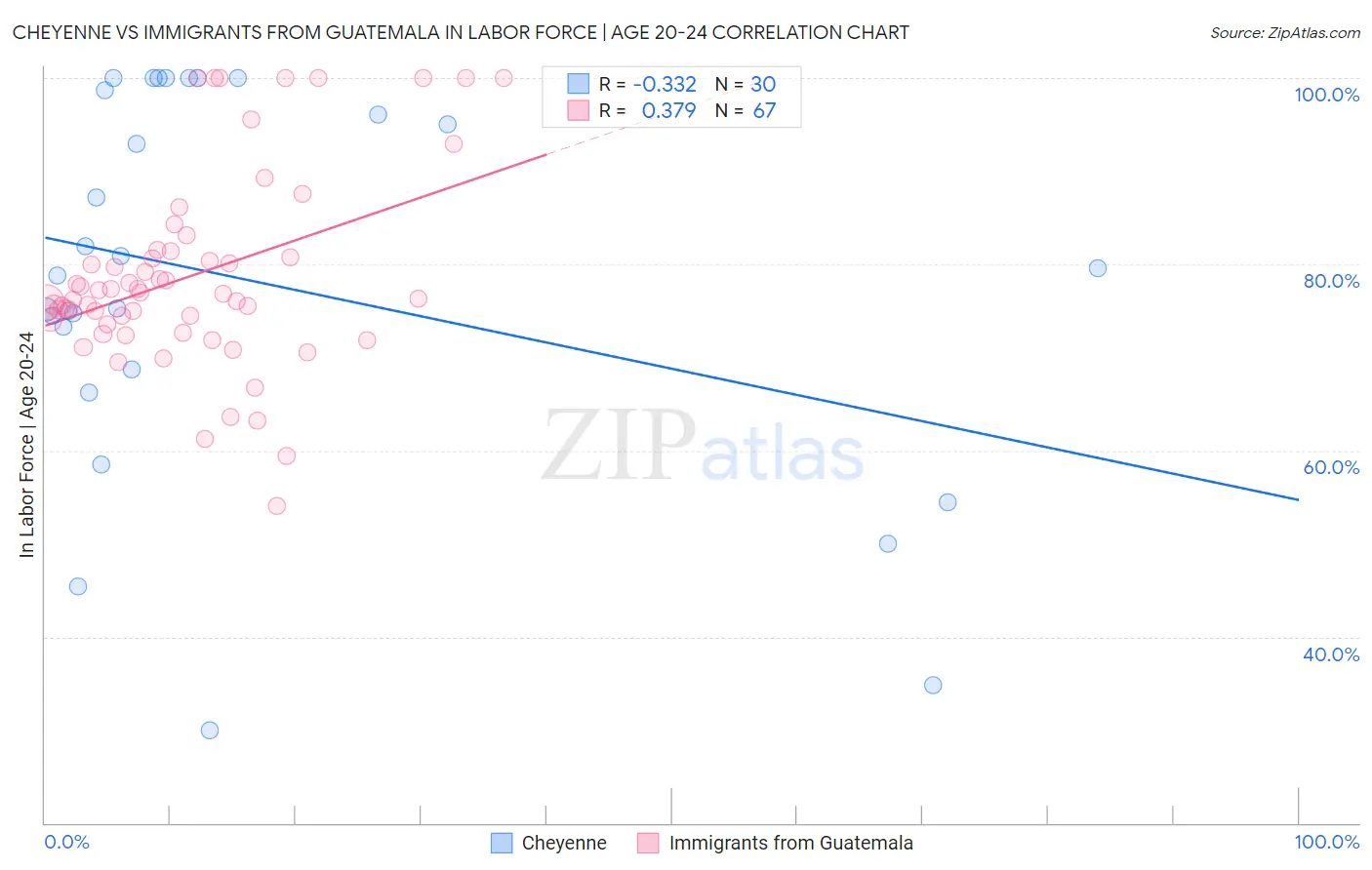 Cheyenne vs Immigrants from Guatemala In Labor Force | Age 20-24