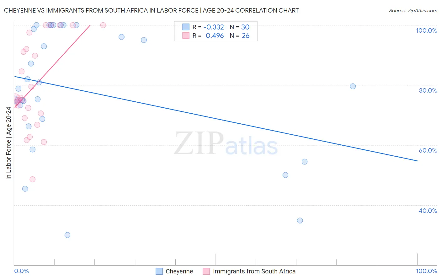 Cheyenne vs Immigrants from South Africa In Labor Force | Age 20-24