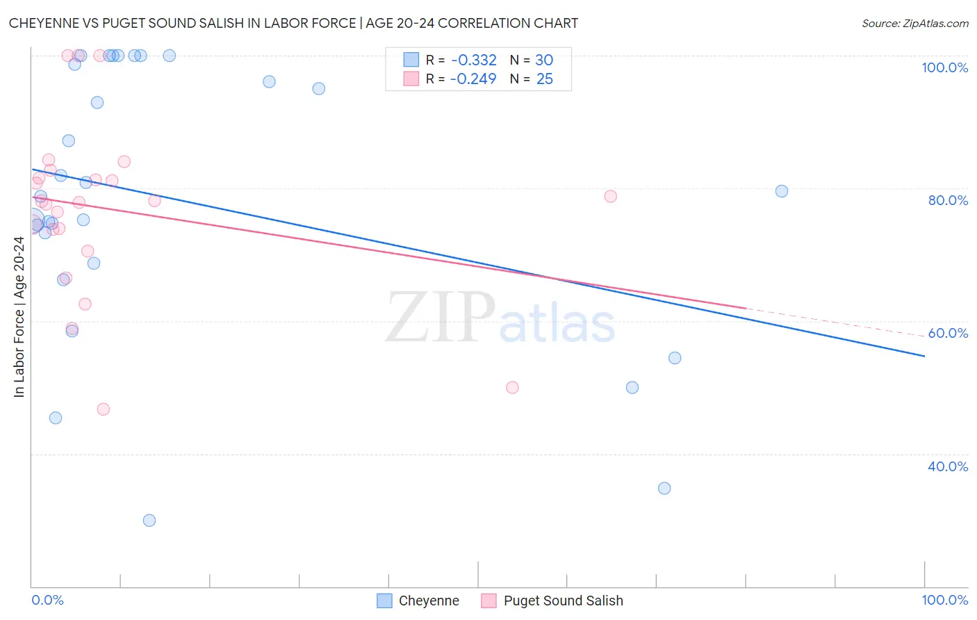 Cheyenne vs Puget Sound Salish In Labor Force | Age 20-24