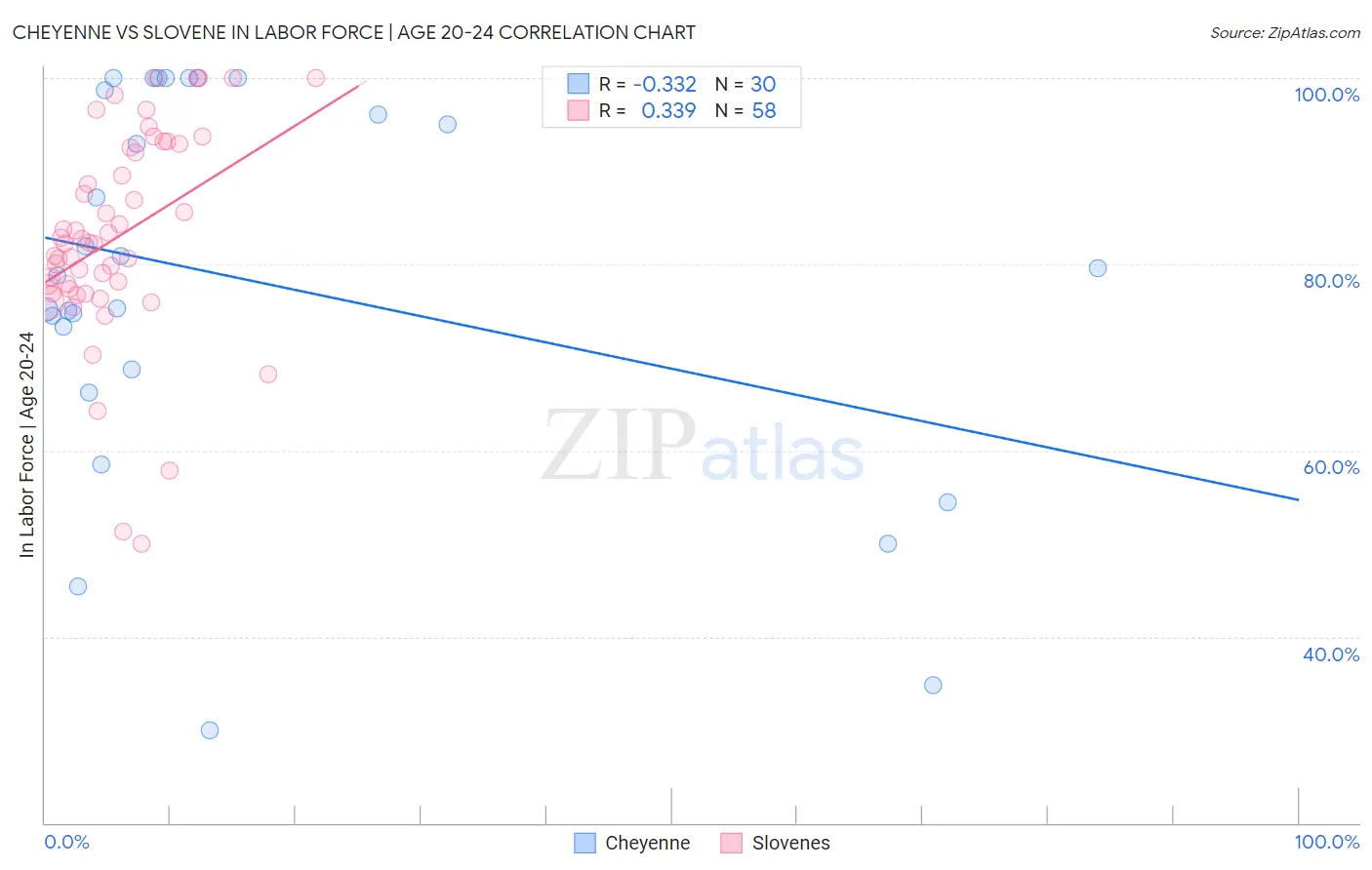 Cheyenne vs Slovene In Labor Force | Age 20-24
