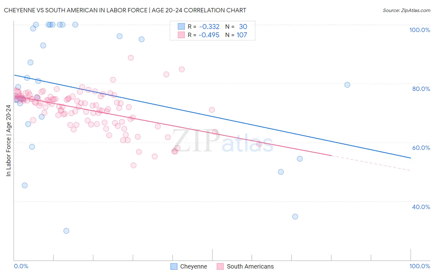 Cheyenne vs South American In Labor Force | Age 20-24