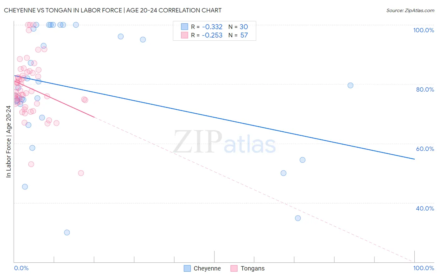Cheyenne vs Tongan In Labor Force | Age 20-24