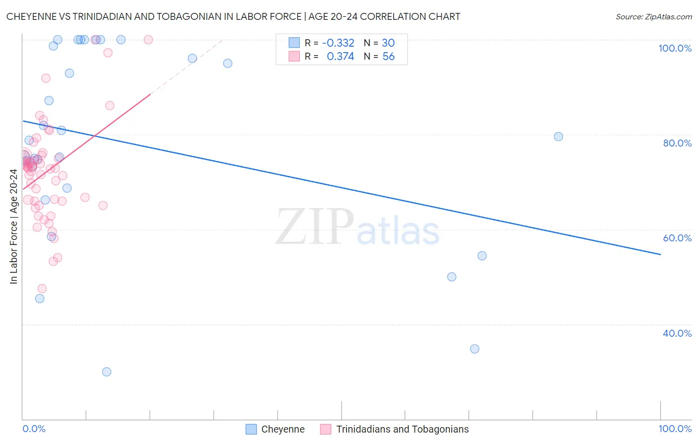 Cheyenne vs Trinidadian and Tobagonian In Labor Force | Age 20-24