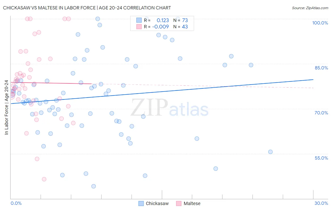 Chickasaw vs Maltese In Labor Force | Age 20-24