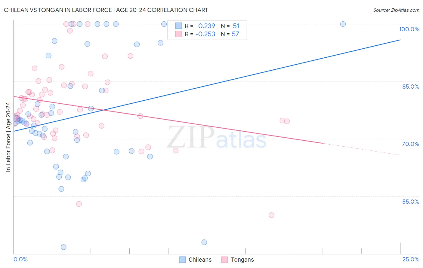 Chilean vs Tongan In Labor Force | Age 20-24