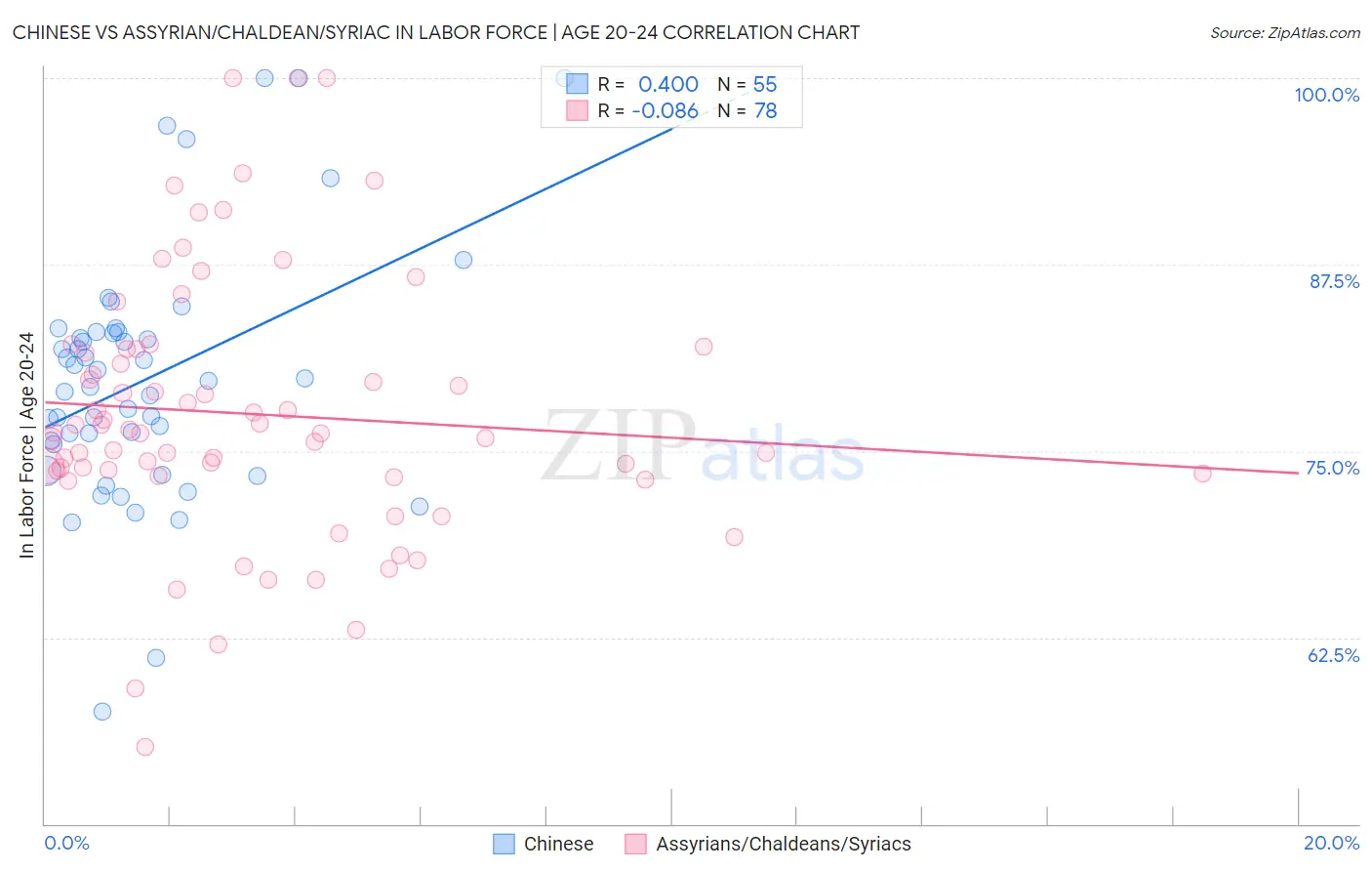 Chinese vs Assyrian/Chaldean/Syriac In Labor Force | Age 20-24