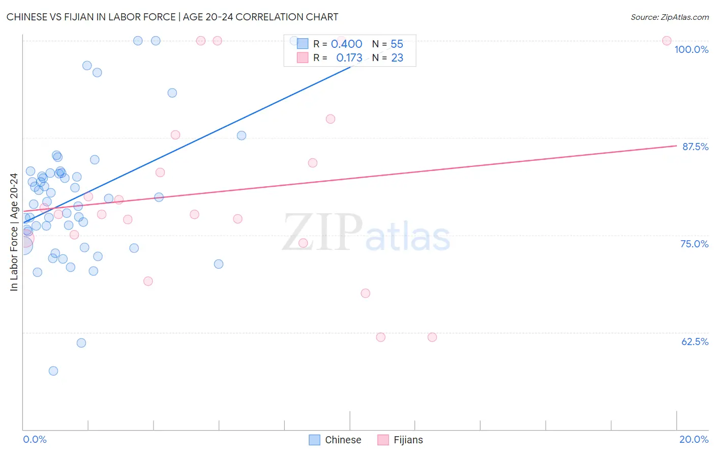 Chinese vs Fijian In Labor Force | Age 20-24