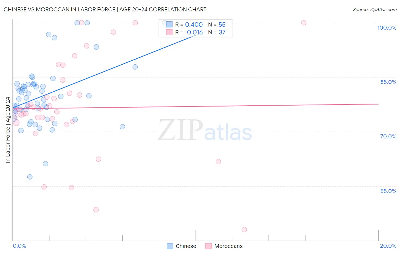 Chinese vs Moroccan In Labor Force | Age 20-24