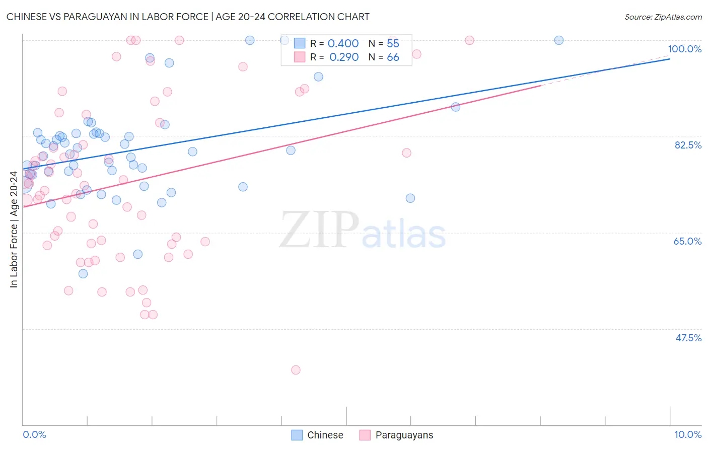 Chinese vs Paraguayan In Labor Force | Age 20-24