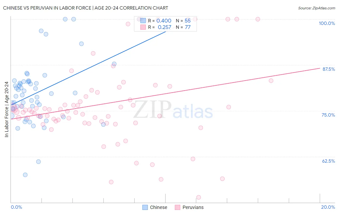 Chinese vs Peruvian In Labor Force | Age 20-24