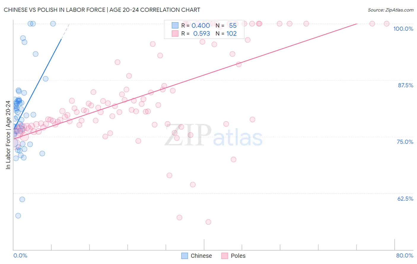 Chinese vs Polish In Labor Force | Age 20-24