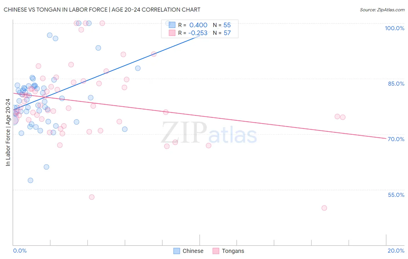 Chinese vs Tongan In Labor Force | Age 20-24
