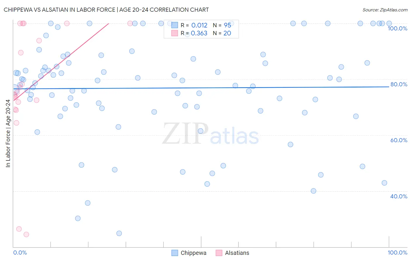 Chippewa vs Alsatian In Labor Force | Age 20-24