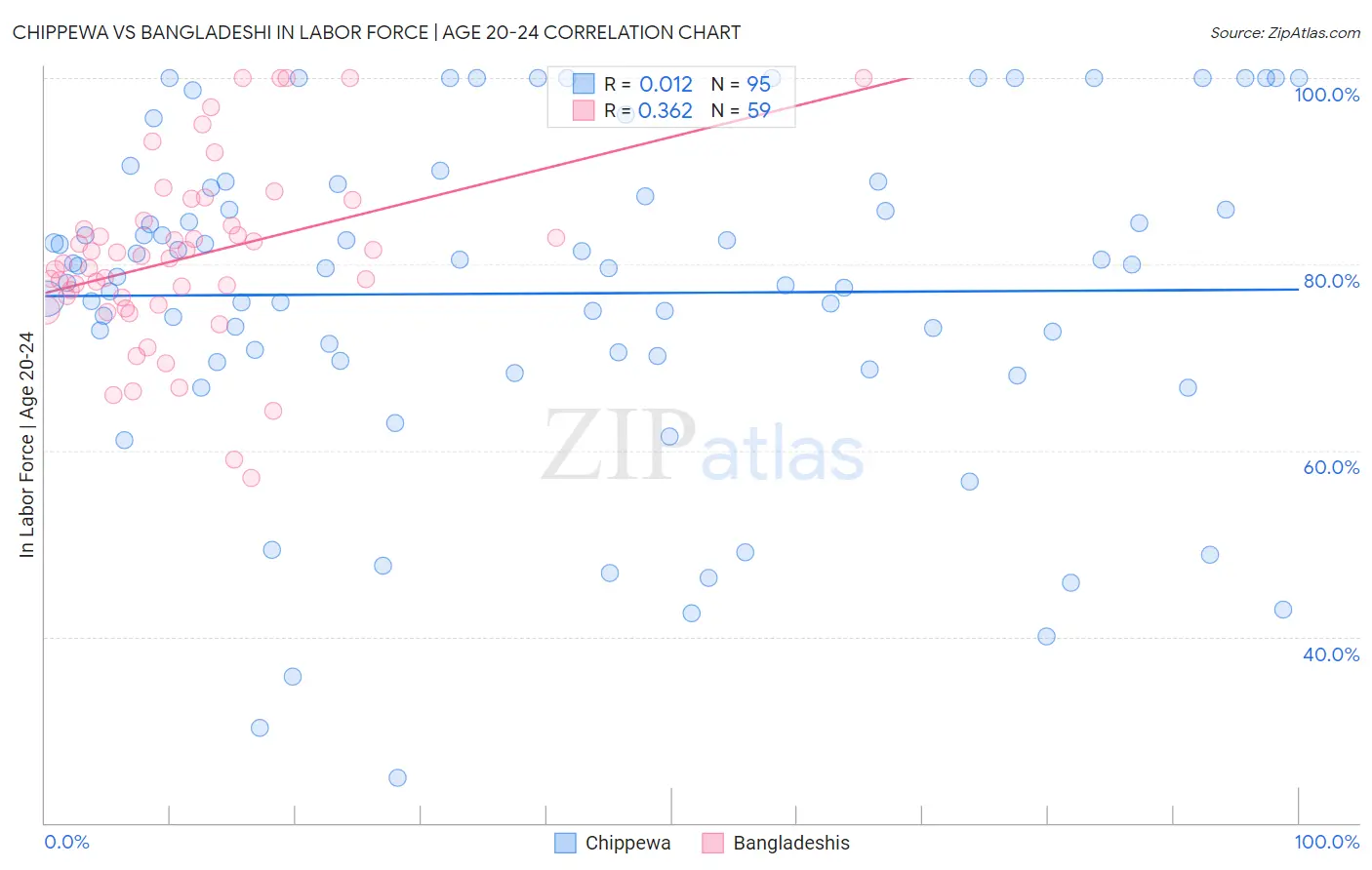 Chippewa vs Bangladeshi In Labor Force | Age 20-24