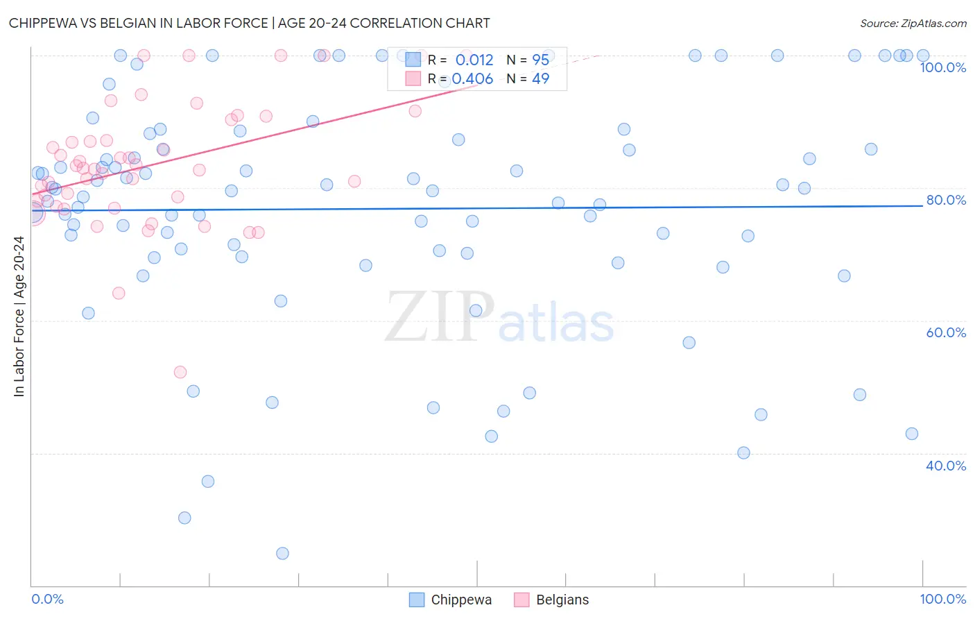 Chippewa vs Belgian In Labor Force | Age 20-24