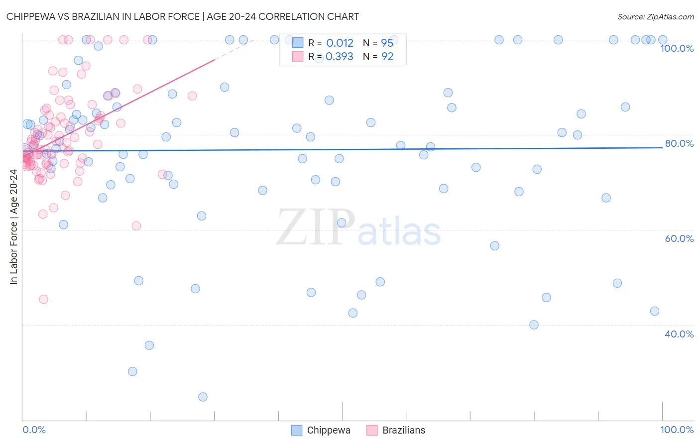 Chippewa vs Brazilian In Labor Force | Age 20-24