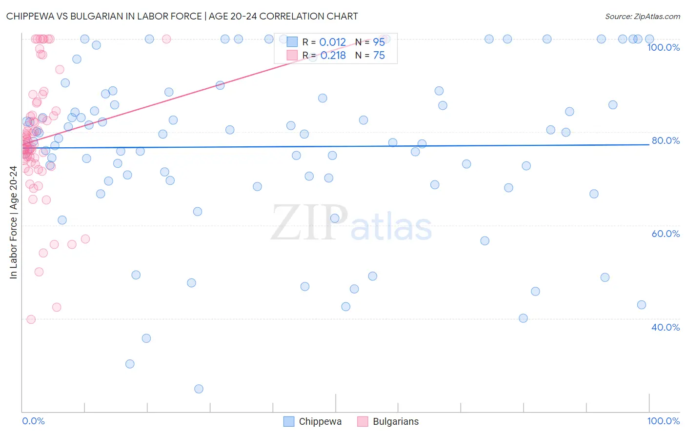 Chippewa vs Bulgarian In Labor Force | Age 20-24