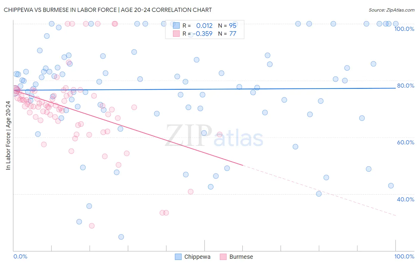 Chippewa vs Burmese In Labor Force | Age 20-24