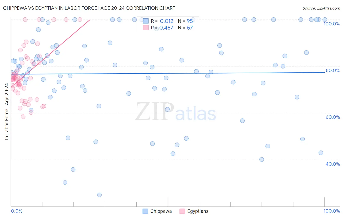 Chippewa vs Egyptian In Labor Force | Age 20-24