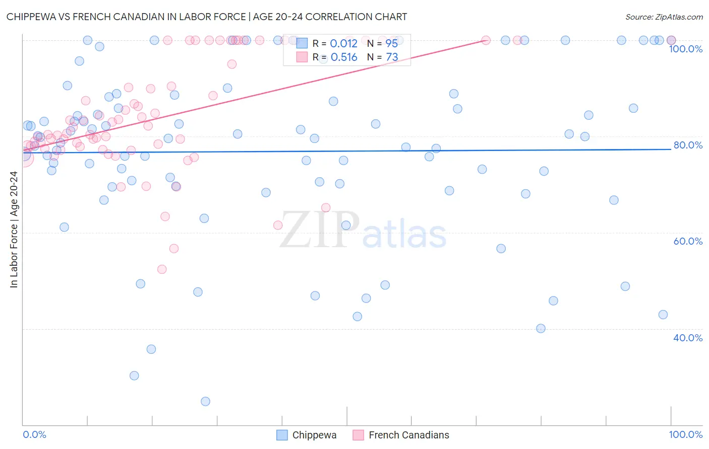 Chippewa vs French Canadian In Labor Force | Age 20-24