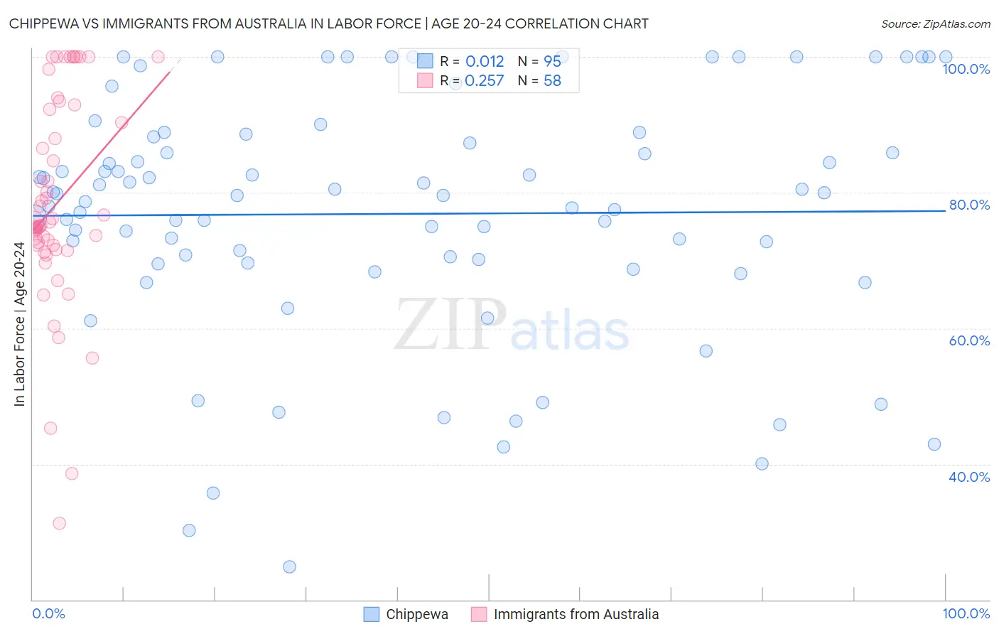 Chippewa vs Immigrants from Australia In Labor Force | Age 20-24