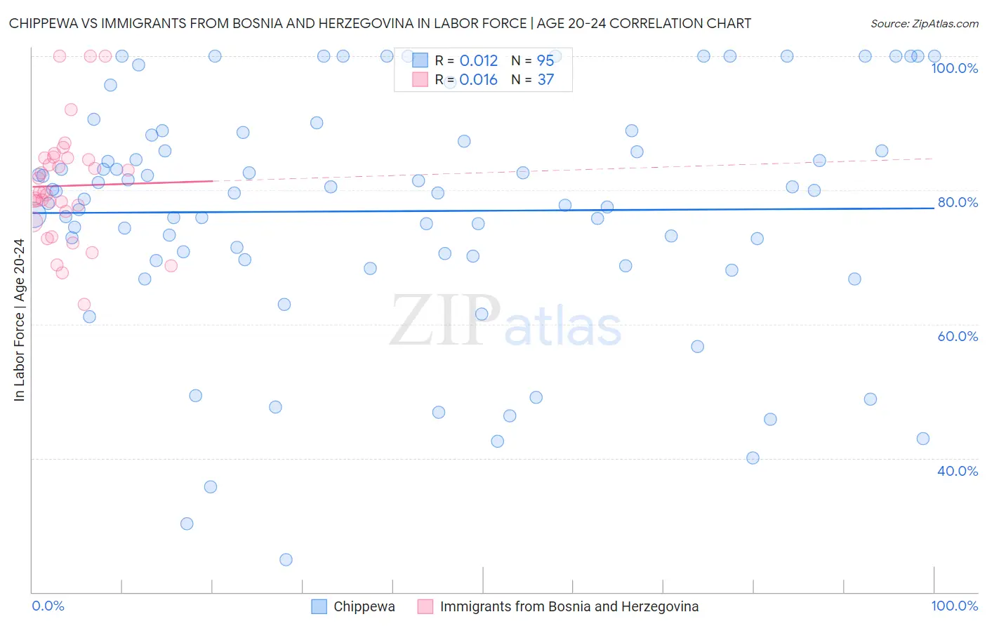 Chippewa vs Immigrants from Bosnia and Herzegovina In Labor Force | Age 20-24