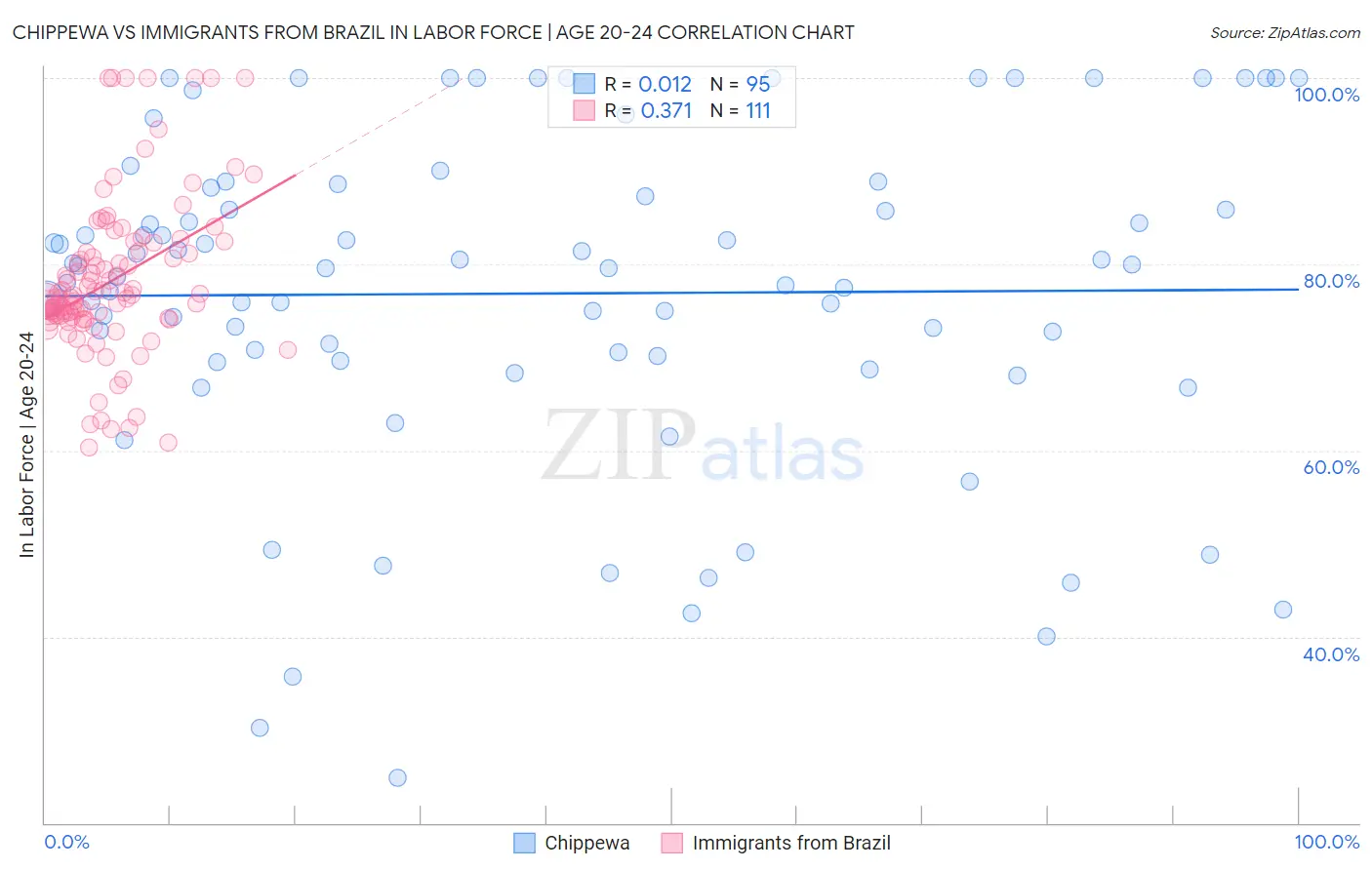 Chippewa vs Immigrants from Brazil In Labor Force | Age 20-24