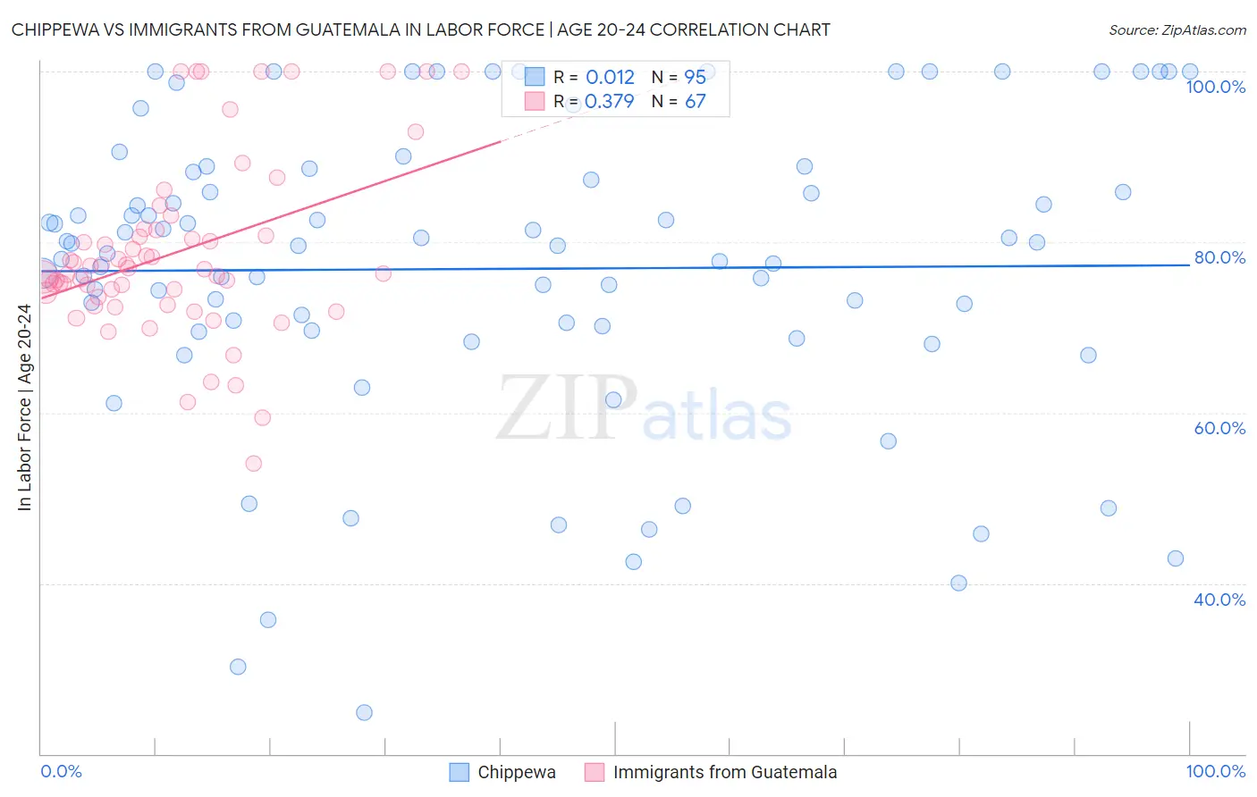 Chippewa vs Immigrants from Guatemala In Labor Force | Age 20-24