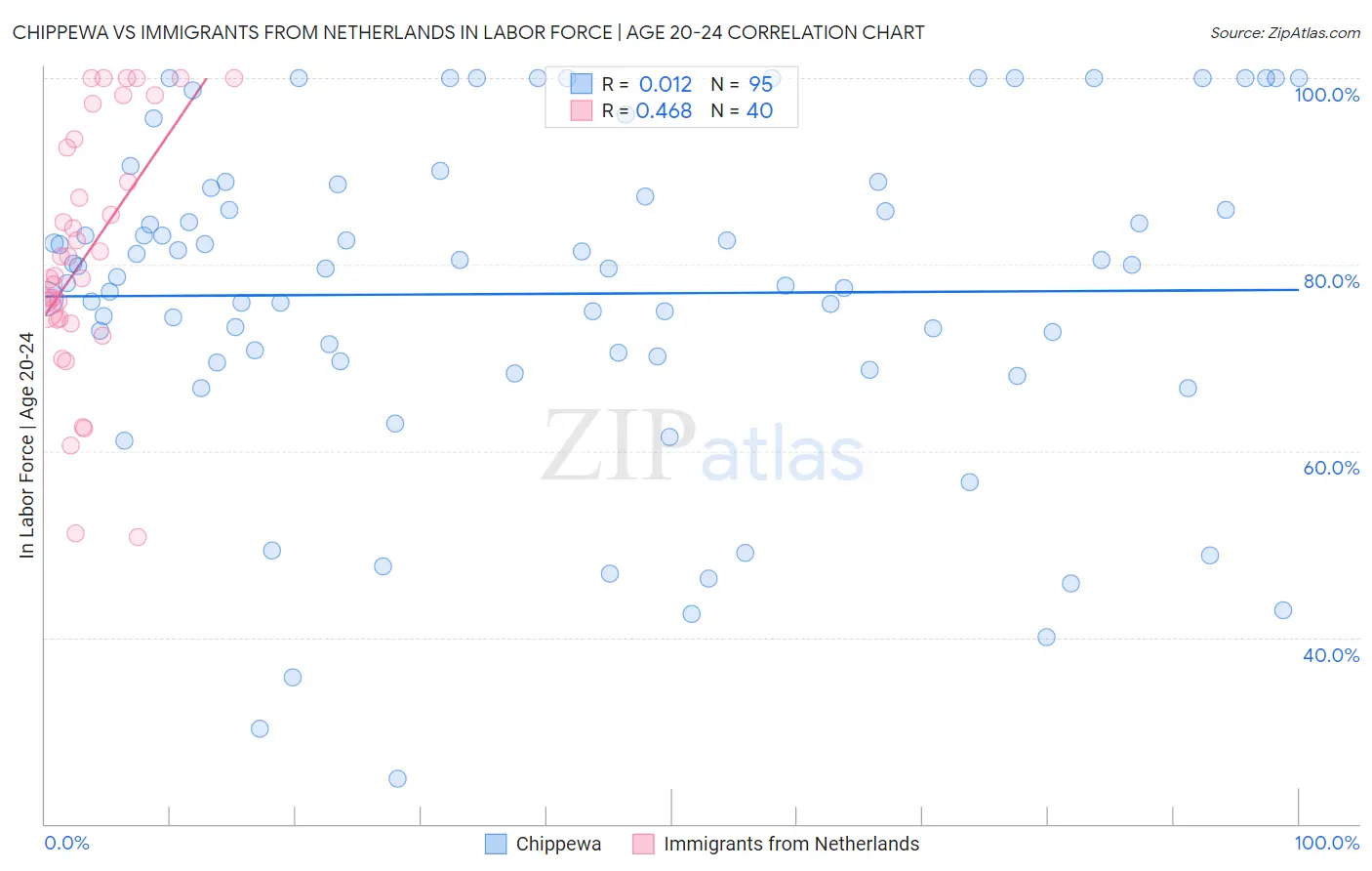 Chippewa vs Immigrants from Netherlands In Labor Force | Age 20-24