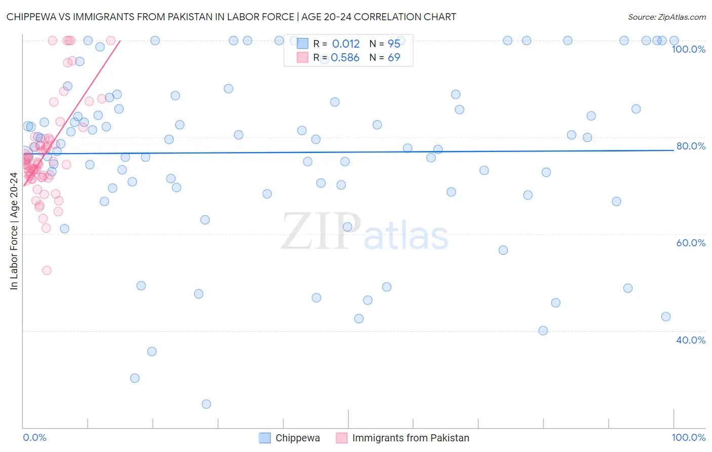 Chippewa vs Immigrants from Pakistan In Labor Force | Age 20-24