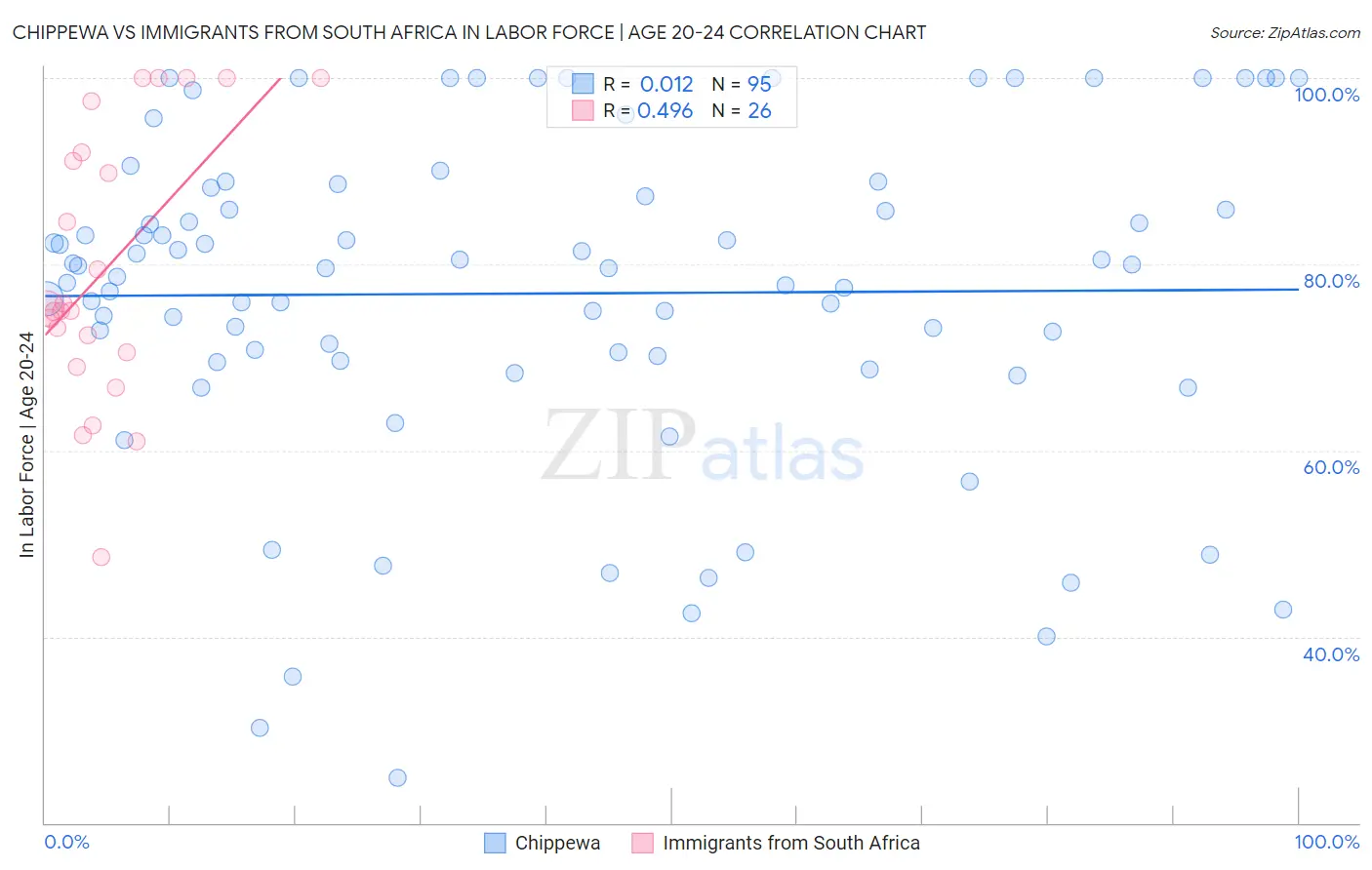Chippewa vs Immigrants from South Africa In Labor Force | Age 20-24