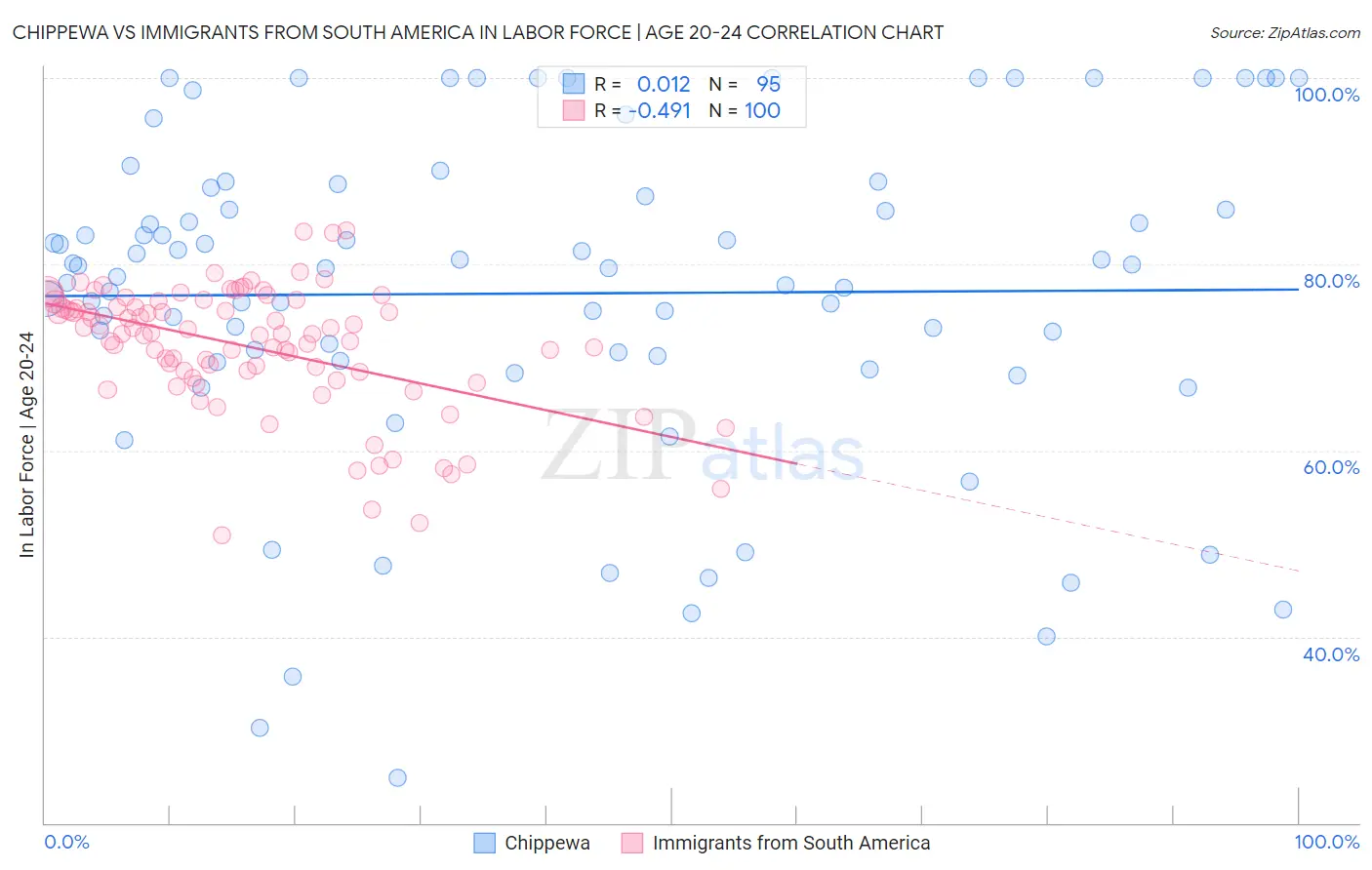 Chippewa vs Immigrants from South America In Labor Force | Age 20-24