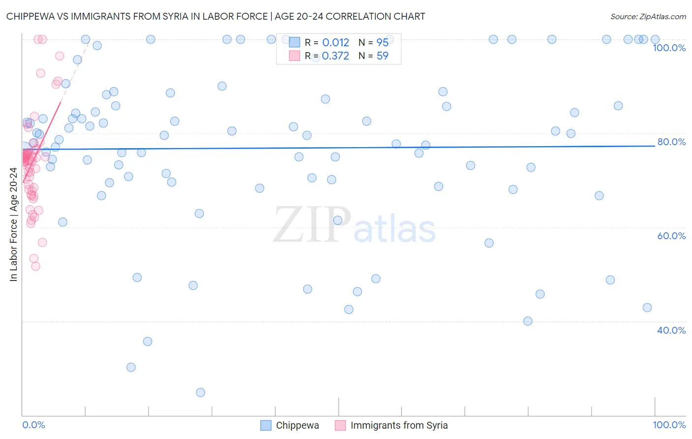 Chippewa vs Immigrants from Syria In Labor Force | Age 20-24