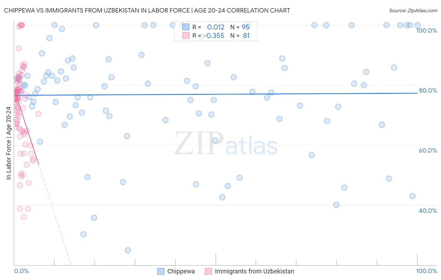 Chippewa vs Immigrants from Uzbekistan In Labor Force | Age 20-24