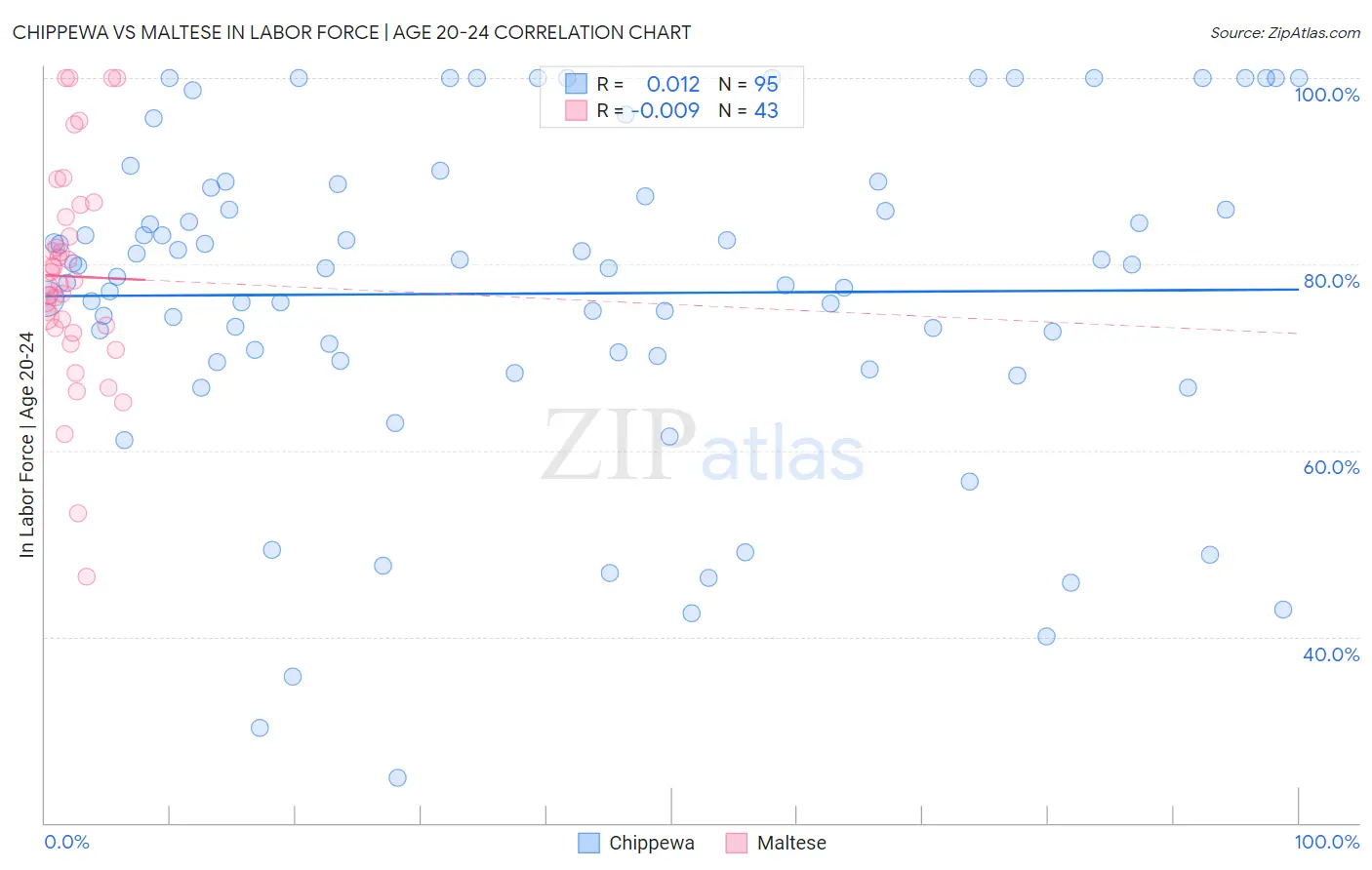 Chippewa vs Maltese In Labor Force | Age 20-24