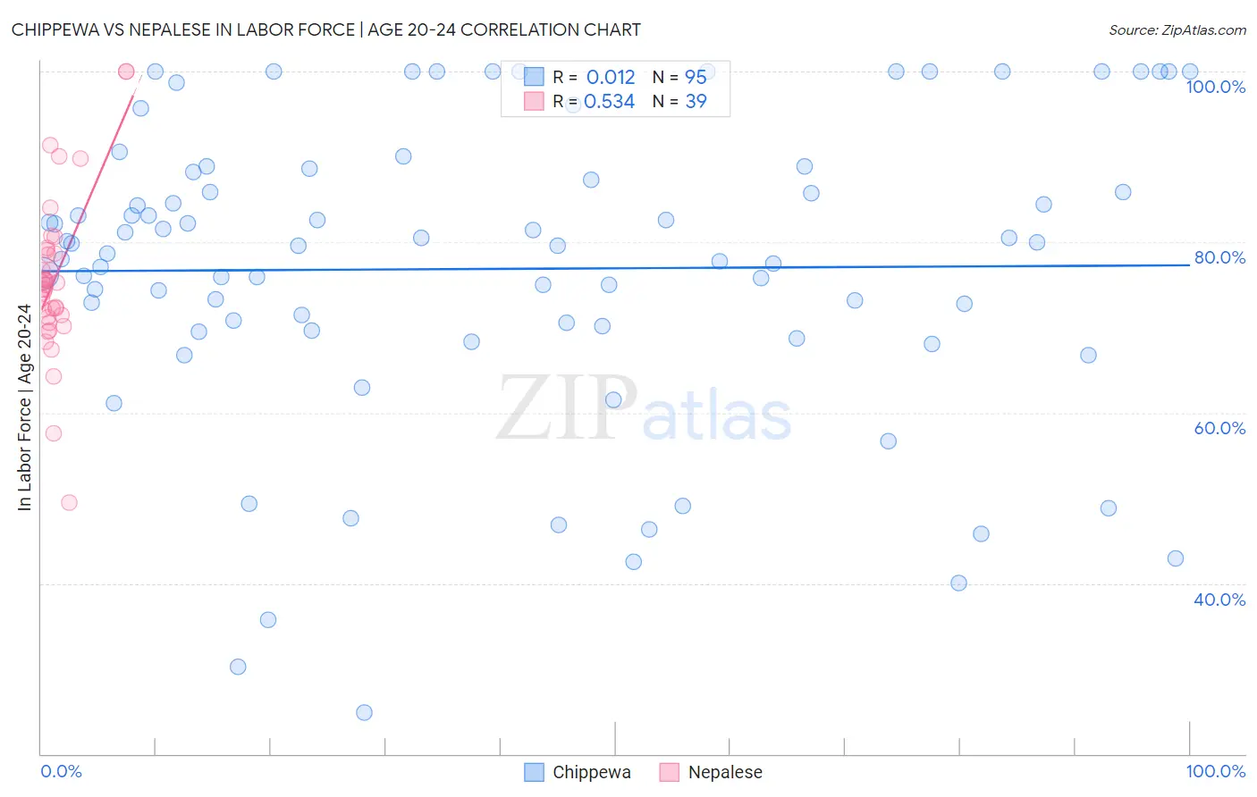 Chippewa vs Nepalese In Labor Force | Age 20-24