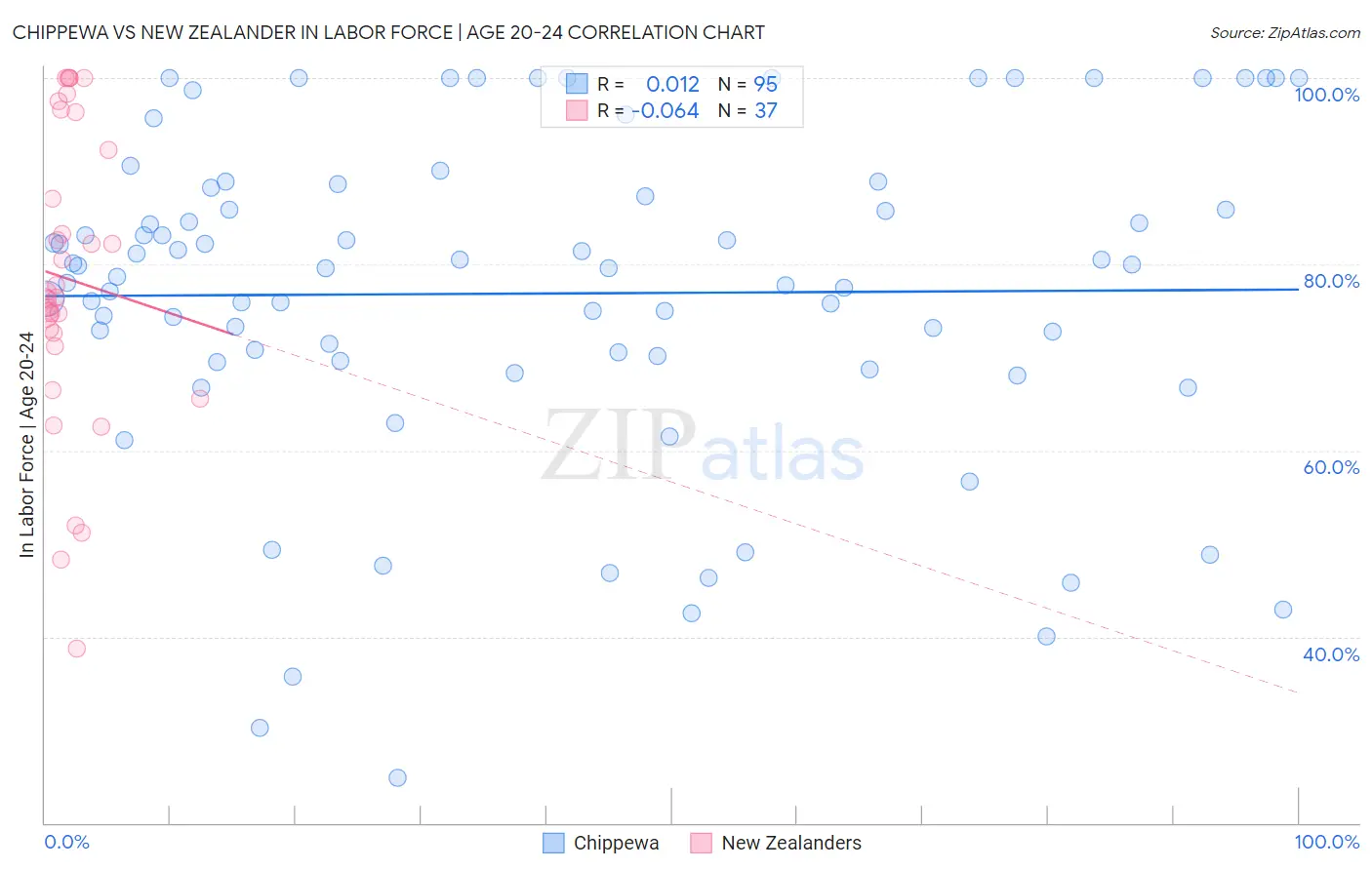 Chippewa vs New Zealander In Labor Force | Age 20-24