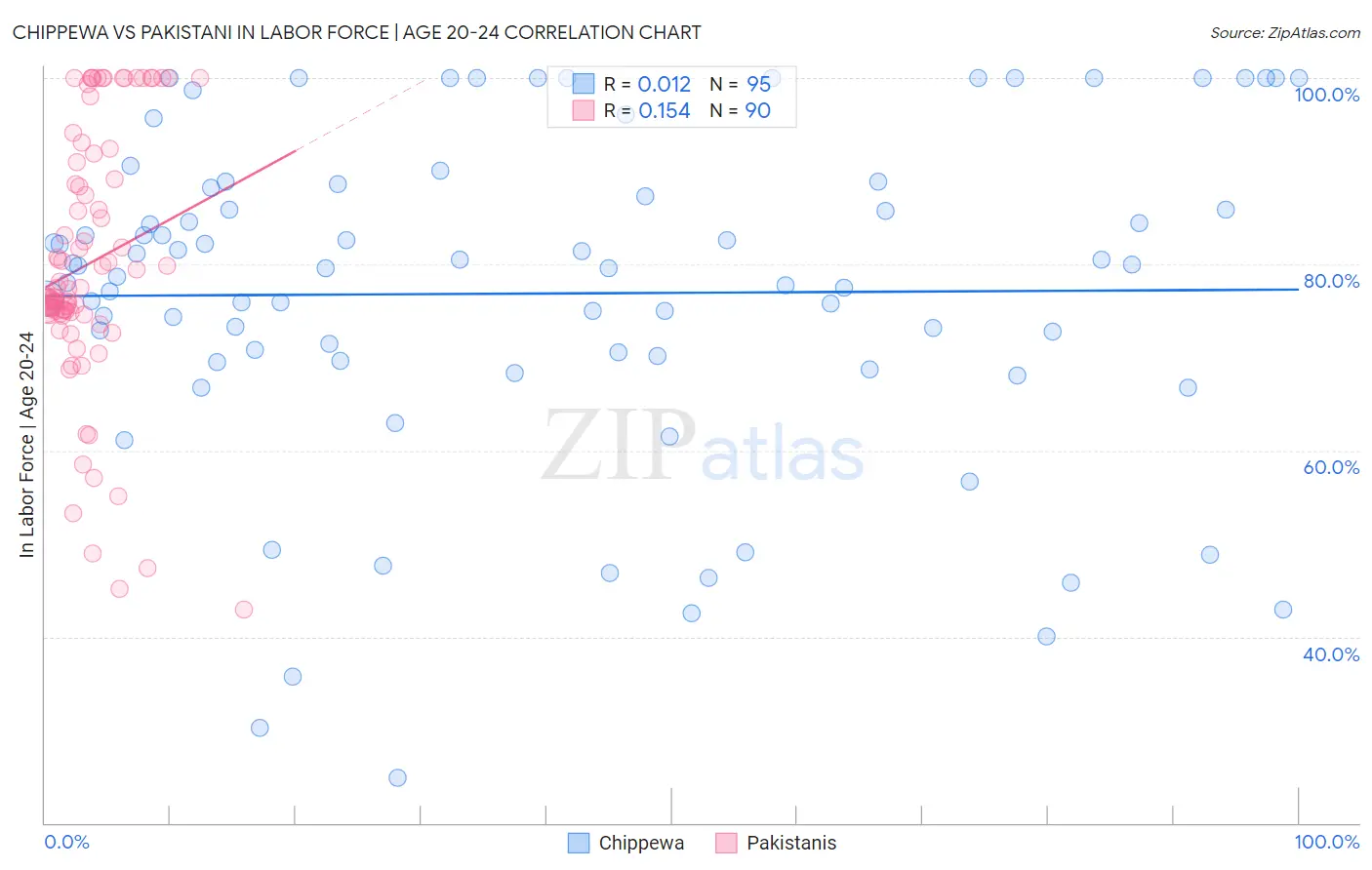 Chippewa vs Pakistani In Labor Force | Age 20-24