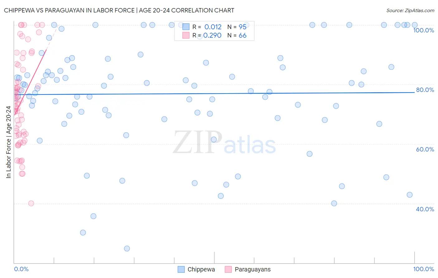 Chippewa vs Paraguayan In Labor Force | Age 20-24