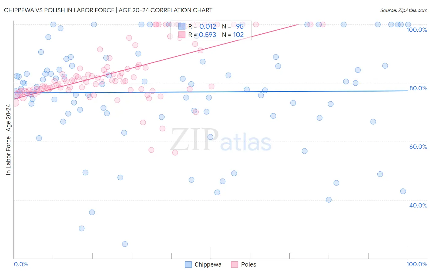 Chippewa vs Polish In Labor Force | Age 20-24