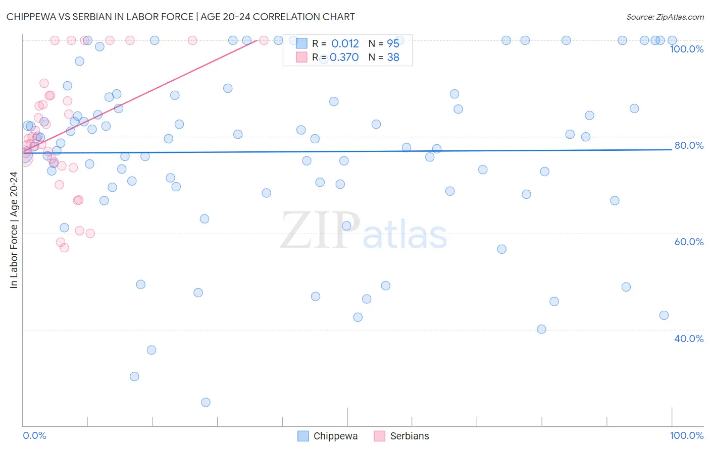 Chippewa vs Serbian In Labor Force | Age 20-24
