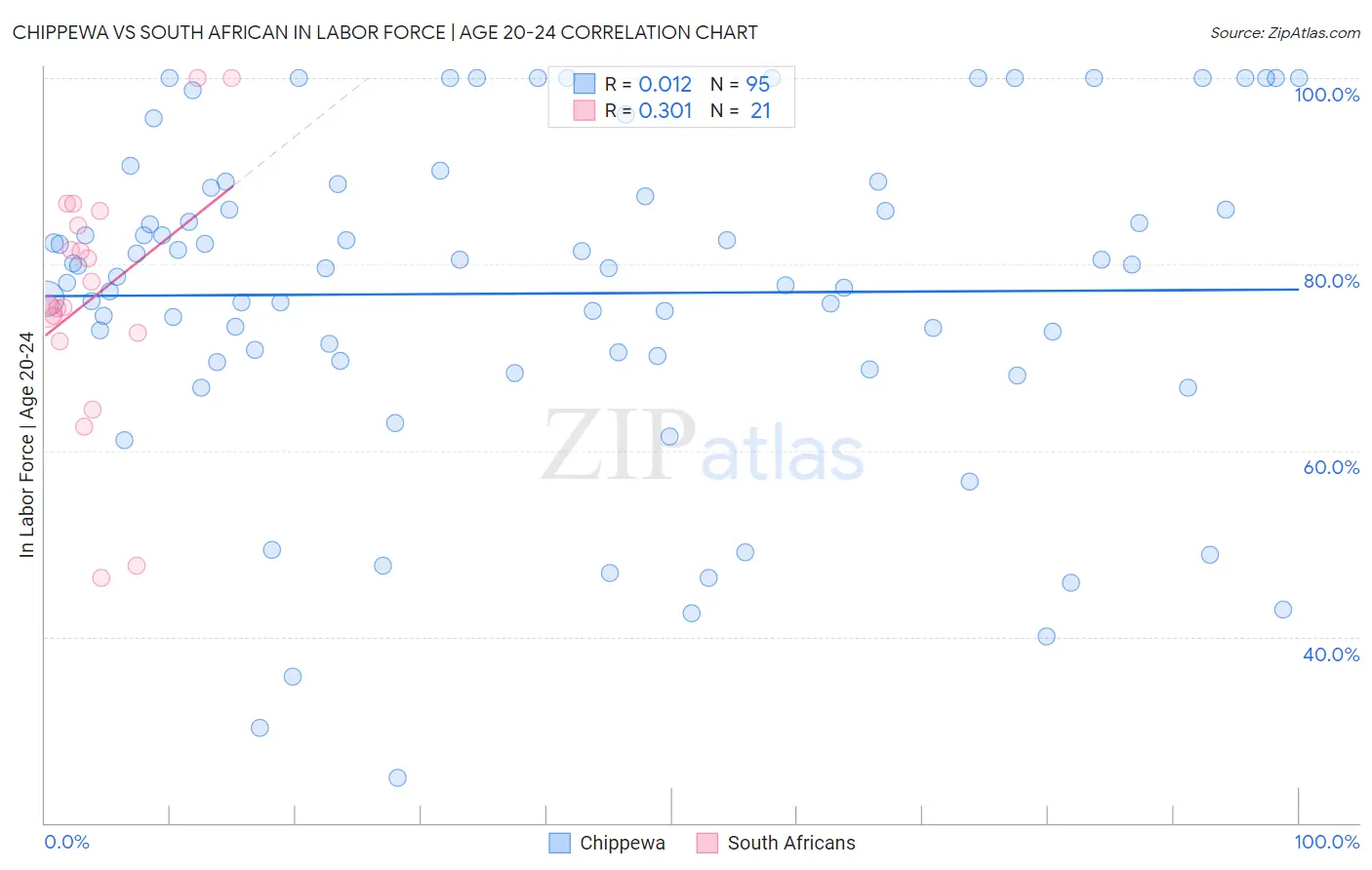 Chippewa vs South African In Labor Force | Age 20-24
