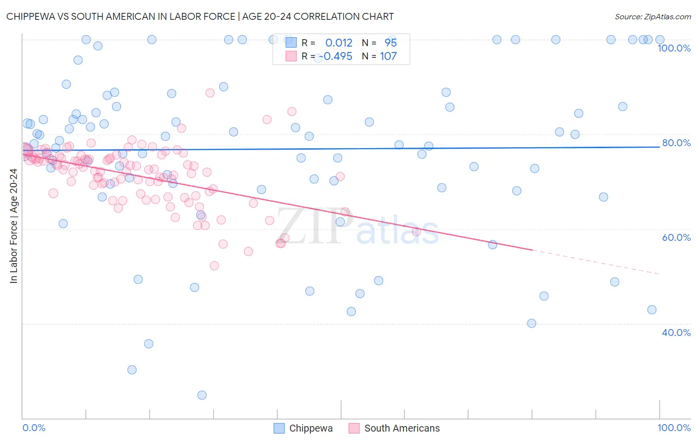 Chippewa vs South American In Labor Force | Age 20-24