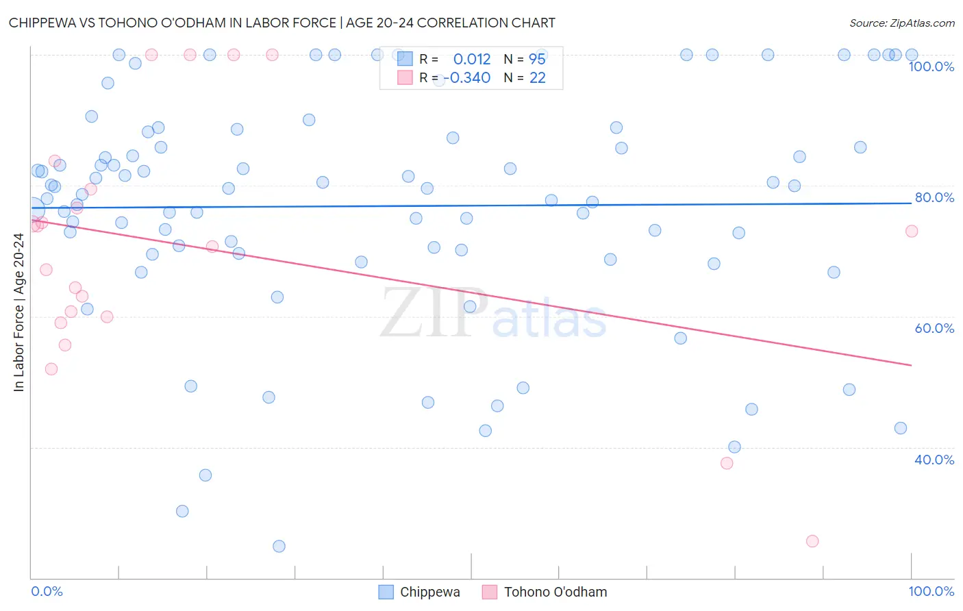 Chippewa vs Tohono O'odham In Labor Force | Age 20-24