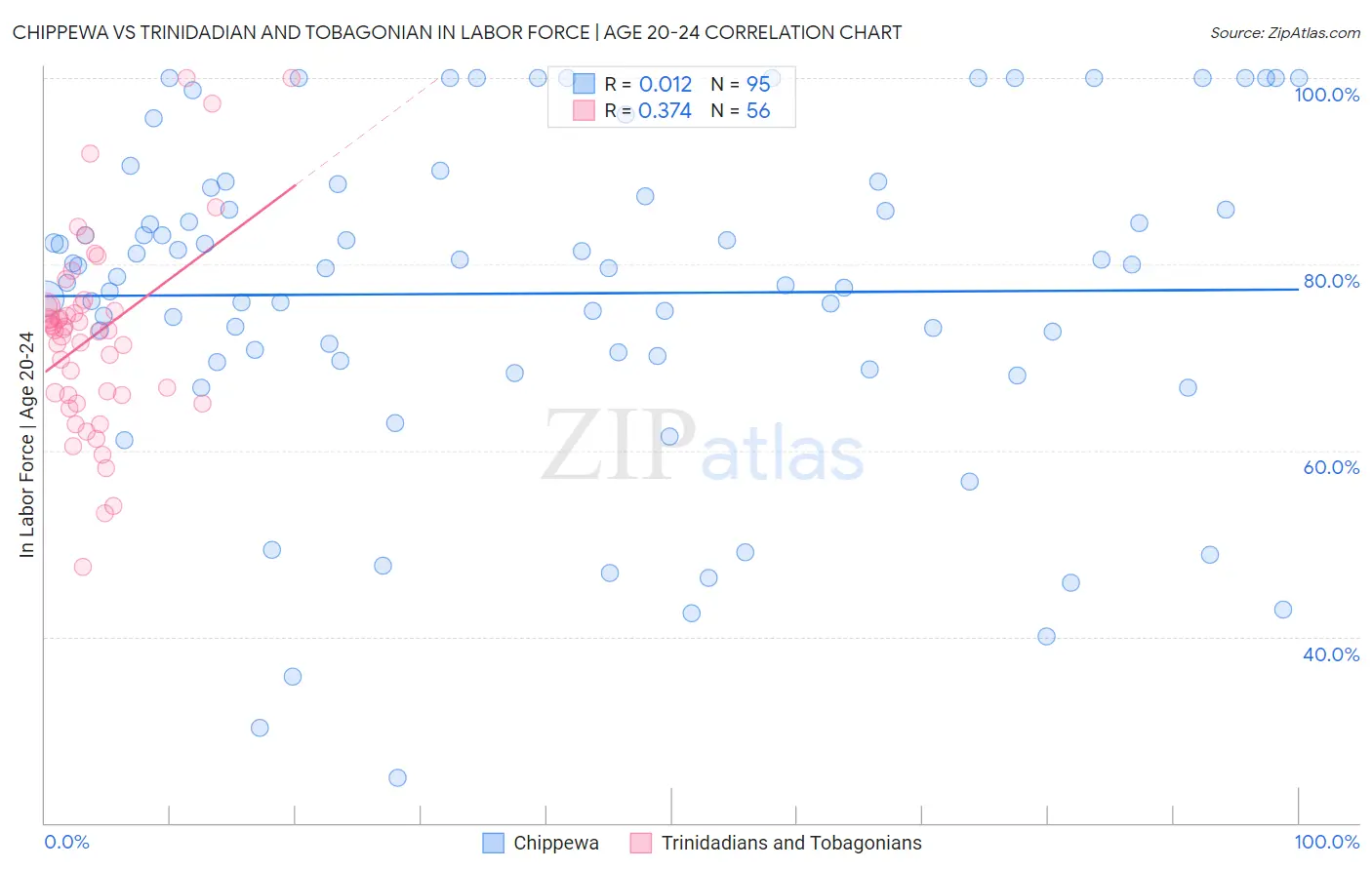 Chippewa vs Trinidadian and Tobagonian In Labor Force | Age 20-24