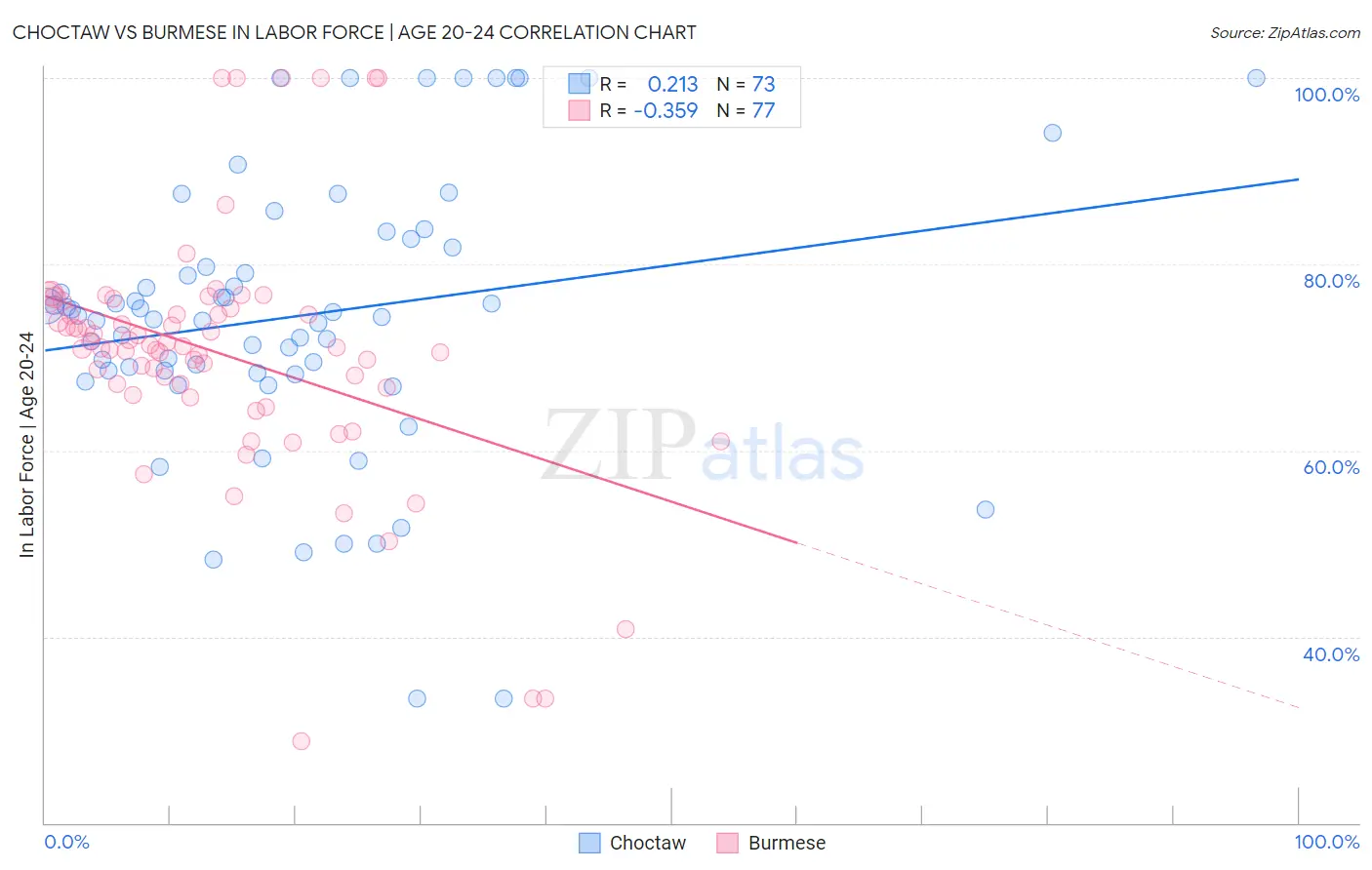 Choctaw vs Burmese In Labor Force | Age 20-24