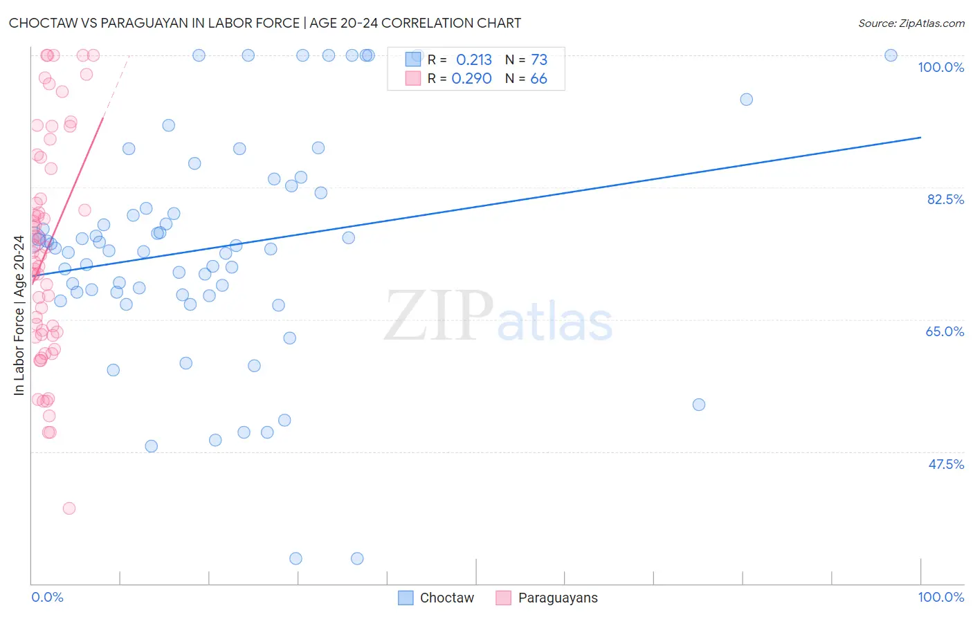 Choctaw vs Paraguayan In Labor Force | Age 20-24