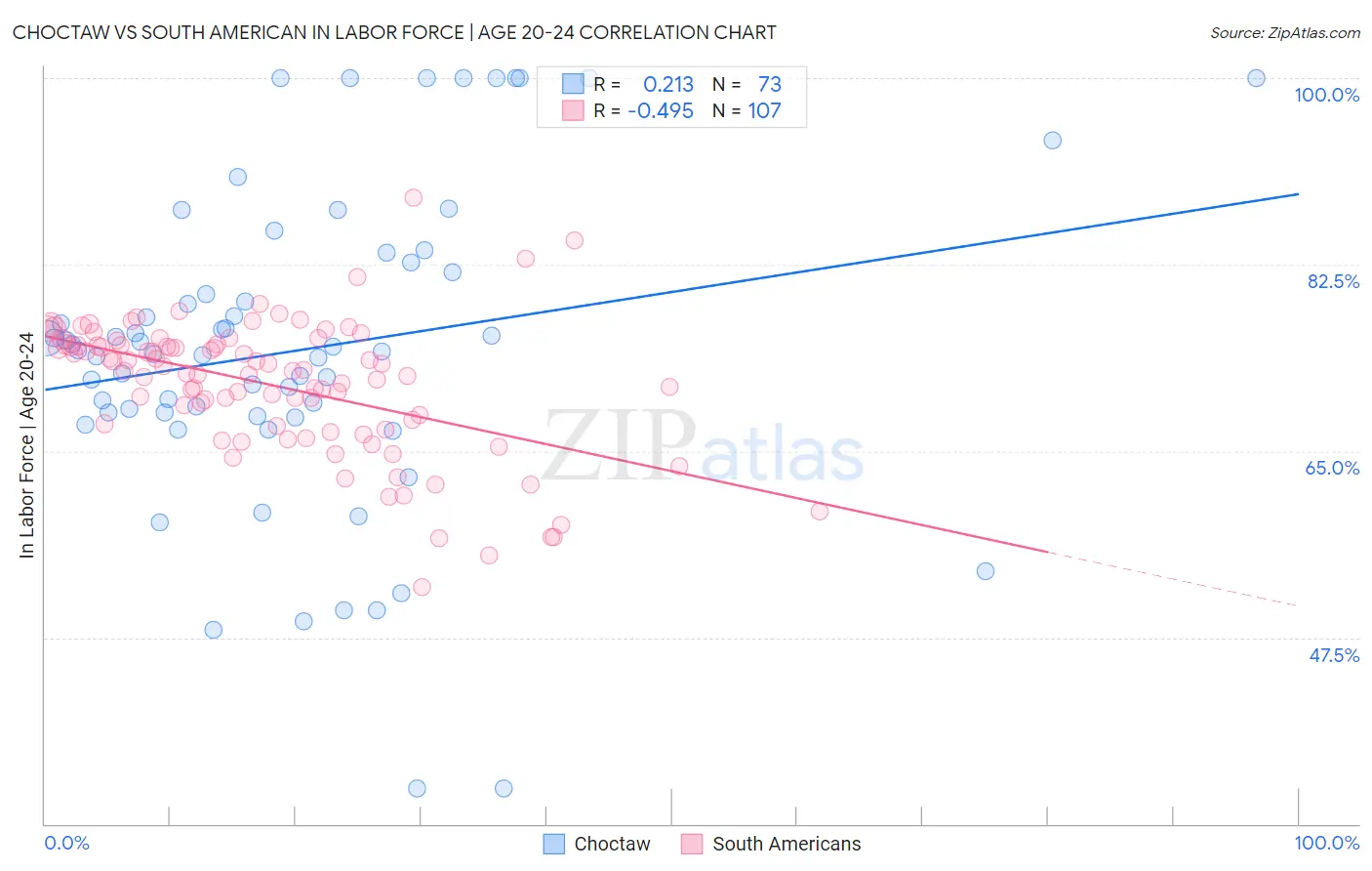 Choctaw vs South American In Labor Force | Age 20-24