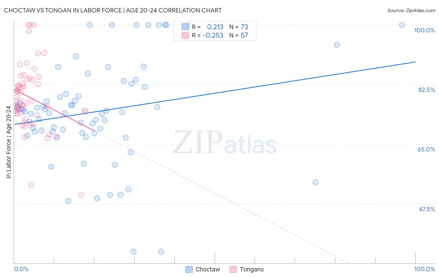 Choctaw vs Tongan In Labor Force | Age 20-24