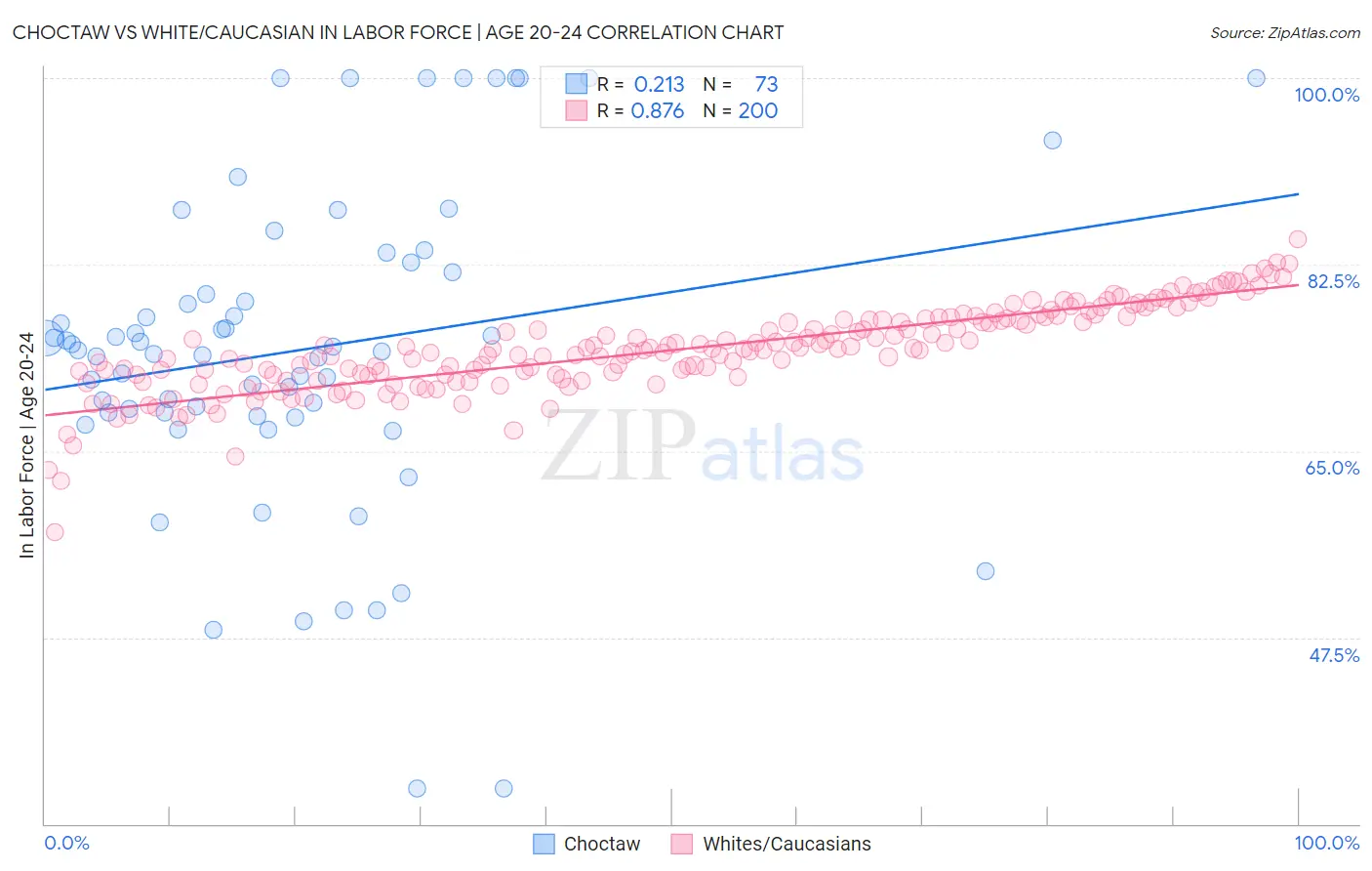 Choctaw vs White/Caucasian In Labor Force | Age 20-24